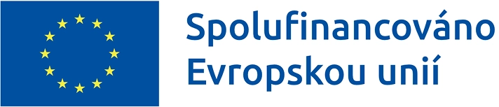 EU Logo